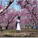 연호정 이미지