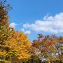 제1풍영정공원 이미지