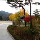 팔렬중학교 이미지