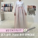 같이갈래? | 경기 광주 가성비 한복 대여 갈래치마 후기 '봄향한복 드레스' 방문후기