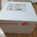 [보식일기1]21일 단식 후 유동식 1일차 ~ 5일차(feat.짱죽_내돈내산)/쓰러짐