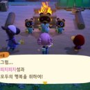 피치피치 이미지