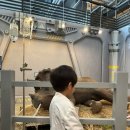 캘러웨이 용인남부센터 | [ 경기 | 용인 아이랑 ] 다이노베이 시즌3, 이케아