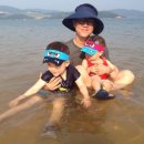 물안해수욕장 이미지