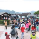 곡성 섬진강 기차마을 이미지