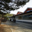 사랑별키즈풀 이미지