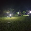 와수리약국 이미지