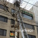 안정형외과의원 네이버블로그