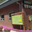 무주자연휴양림 이미지