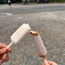 참나무 숯불닭갈비 막국수 분점 | 춘천 참나무 숯불닭갈비 막국수 분점 내 돈 내 먹 솔직 후기