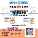 피카소 동물병원 이미지