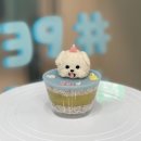 투플러피 이미지