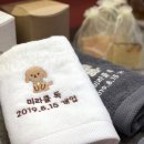 미라클 독 이미지