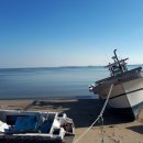 월하성어촌체험휴양마을 이미지