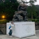 엄마는도슨트 | 대만 국립고궁박물관 도슨트 | 무료입장 관람 후기, 옥배추 동파육 전시 일정