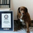 장수공인중개사사무소 이미지