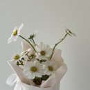 이플스튜디오 이미지