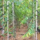 느티농원 이미지