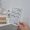 샤크존 | [탄방동속눈썹연장] 대전샤크존 래쉬업에서 받은 인생 속눈썹 연장 후기