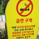 단이식당 이미지