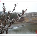 보훈휴양원 이미지