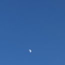 성산흑돼지복돼지