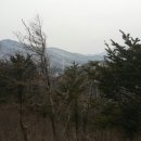 금명목장 | [스크랩] 2017.2. 강원도 선자령 눈산행
