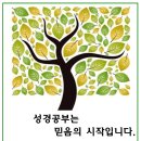 신앙강좌(신약성서편) 안내 이미지