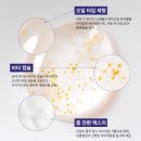 (주)청구통신 | 폼클렌징 추천 오일폼제형 비타캡슐 오일 투 폼 클렌저