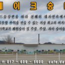 ※ 승마 전남 광주 골드레이크 승마학교 개장 이미지