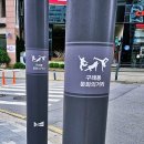 구래동행정복지센터 이미지