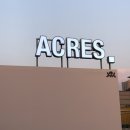가로수길 루프탑 브런치카페 에이커스 Acres 후기