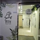 앵모닝앵무새카페 | [내돈내산/후기] 광명 앵모닝 앵무새카페