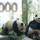 판다 - 미추홀구 독배로462번길 55 | 판다