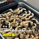 [하남] 장어 찐 맛집 자연유통 내돈내산 솔직후기 주차 포장