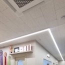 하이테디 이미지