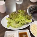 풍물정육식당 | [원주한우맛집] 원주 풍물시장 근처 내돈내산 현지인 한우찐맛집, 후계자정육참숯불구이