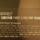 본에스티스