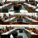 애드호크러시(adhocracy) 이미지