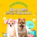 도그프렌즈 이미지