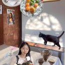하이 베를리너 김포점