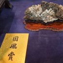 분재전시회 이미지