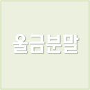 진도울금 이미지