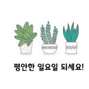 친절한 해든약국 이미지