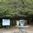 몰운대유원지약수터 네이버블로그