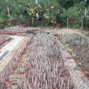 진공농장 이미지