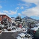 녹송공원 | [강원 정선] 정선역 &amp; 만항재 마지막 눈꽃여행