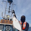 생활낚시 - 속초시 설악금강대교로 42-1 | 생활낚시