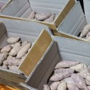 구하리농장 이미지