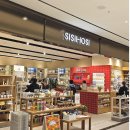 올리브크로우 | 노원 롯데백화점에 시시호시 오픈! 리빙덕후의 첫 방문 후기 ✔